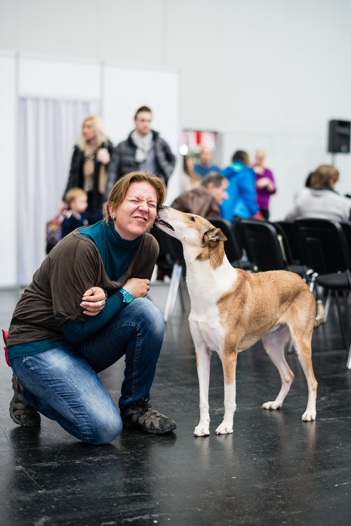 028BWO-2013-12-01-Haustiermesse-0073