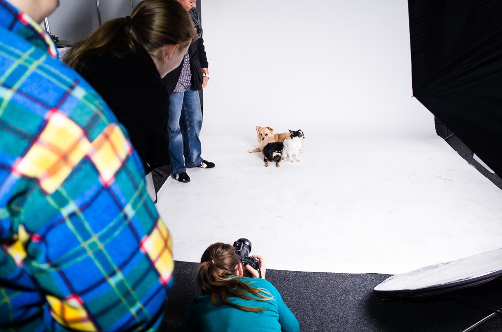 BWO-2013-12-01-Haustiermesse-0026