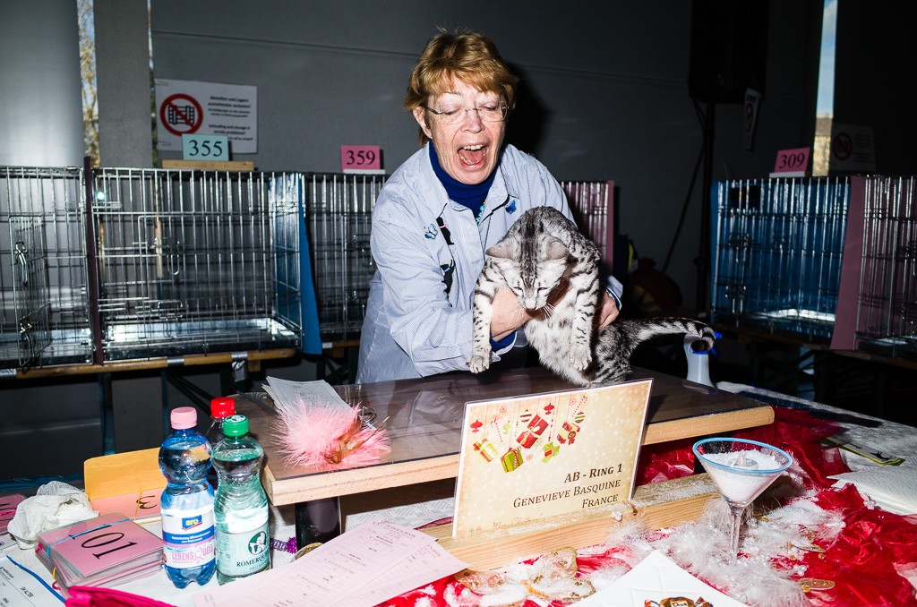 BWO-2013-12-01-Haustiermesse-0031