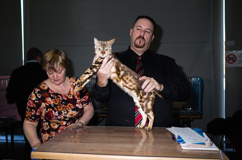 BWO-2013-12-01-Haustiermesse-0041