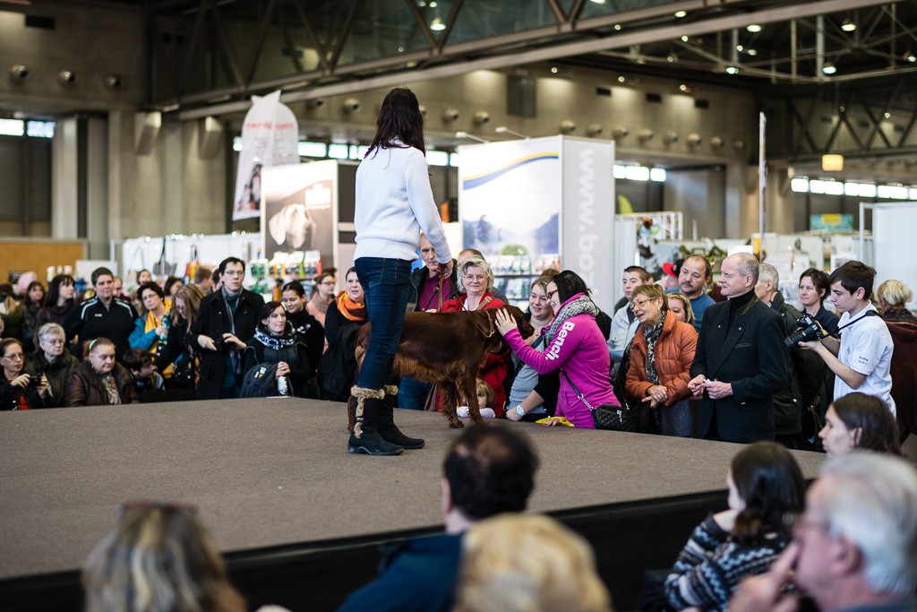 BWO-2013-12-01-Haustiermesse-0048