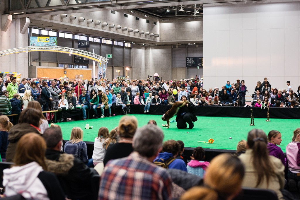 BWO-2013-12-01-Haustiermesse-0209