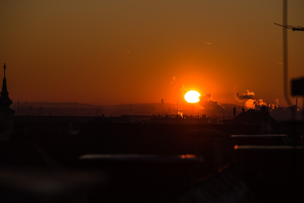 BWO-2013-11-28-Rauchfangkehrer-0067