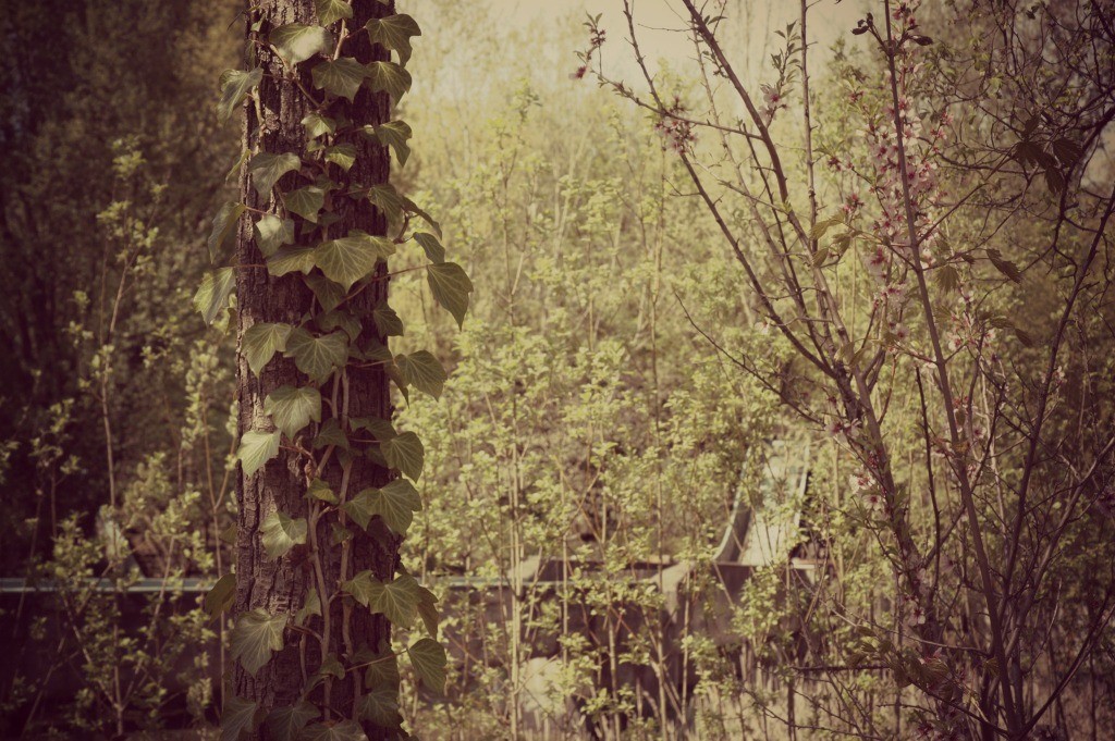 09_spreepark_AUSMOFF