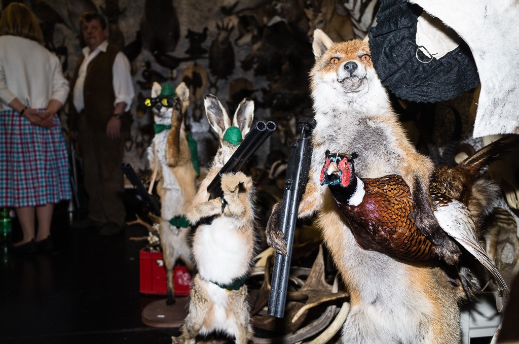 008-BWolf-2014-02-21--0233